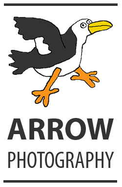 Professional and affordable wedding photography